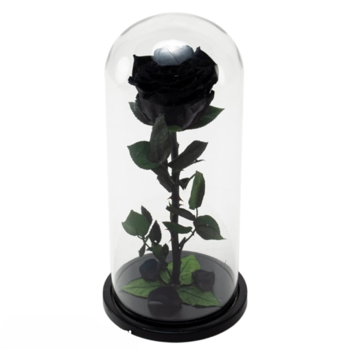 черна роза