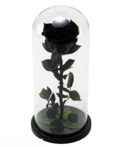 черна роза